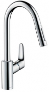  Hansgrohe Focus 31815000      